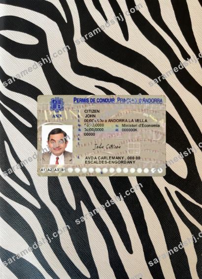 Andorra driving license photolook front